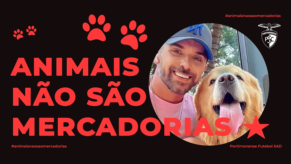 Animais não são mercadorias
