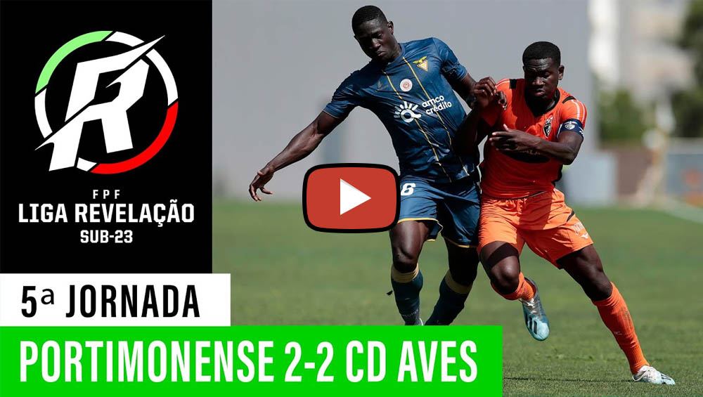 PORTIMONENSE 2 - AVES 2: RESUMO