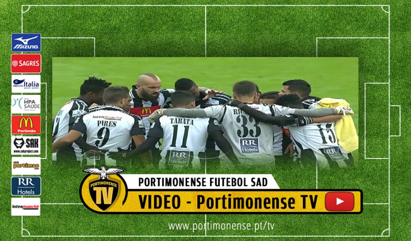 AVES - PORTIMONENSE: RESUMO