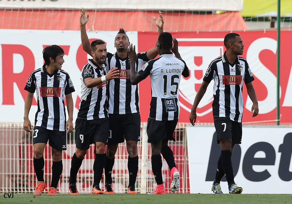 PORTIMONENSE-CD AVES: RESUMO