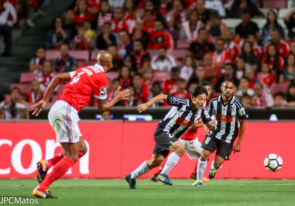 BENFICA - PORTIMONENSE: RESUMO